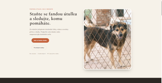 tedkolektiv.eu-cumacci-small